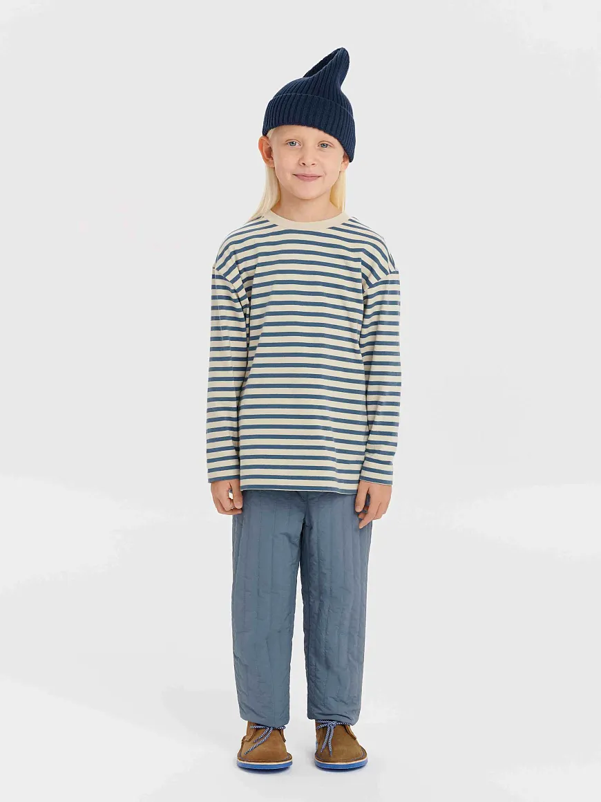 Брюки демисезонные Willy Storm Blue