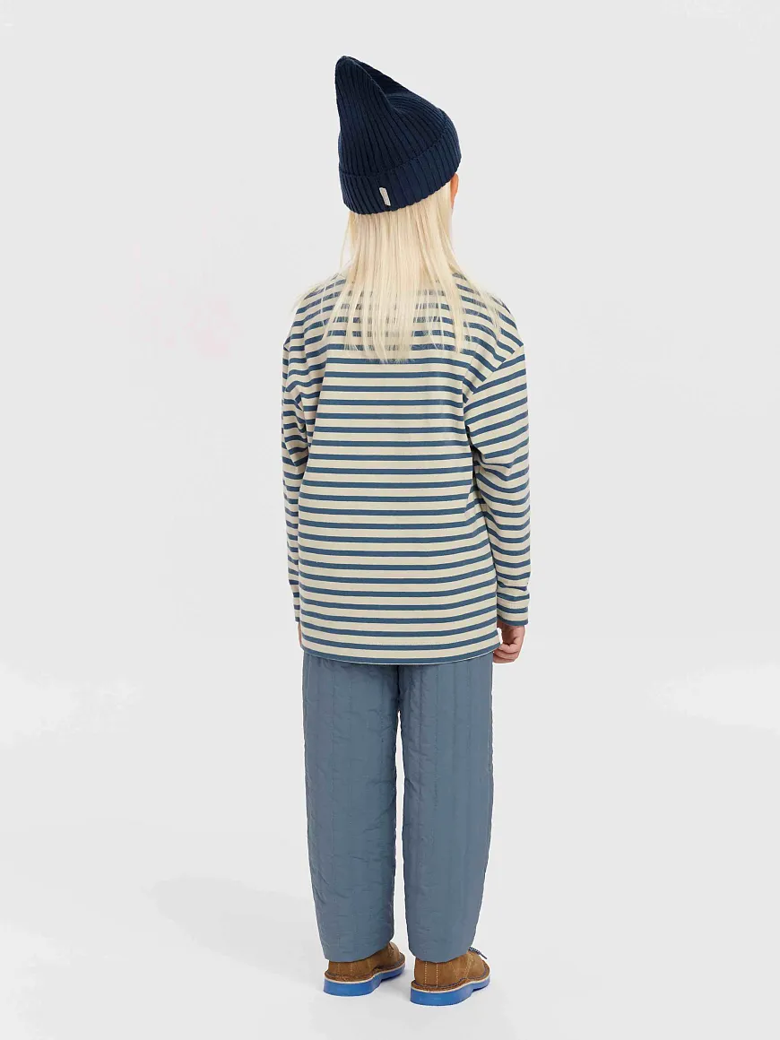 Брюки демисезонные Willy Storm Blue