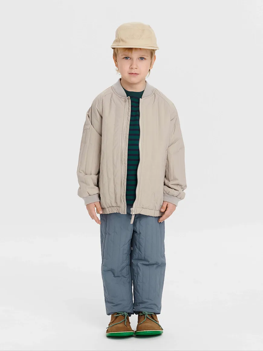 Брюки демисезонные Willy Storm Blue