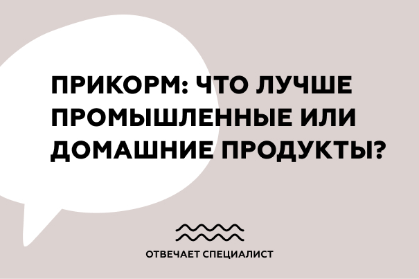 Прикорм: что лучше промышленные или домашние продукты?