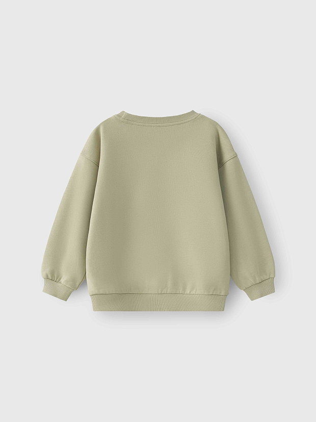 Трикотажный свитшот Leokid Ozzie Moss Gray