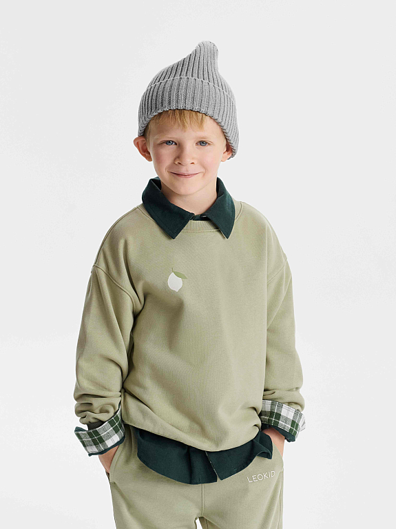 Трикотажный свитшот Leokid Ozzie Moss Gray