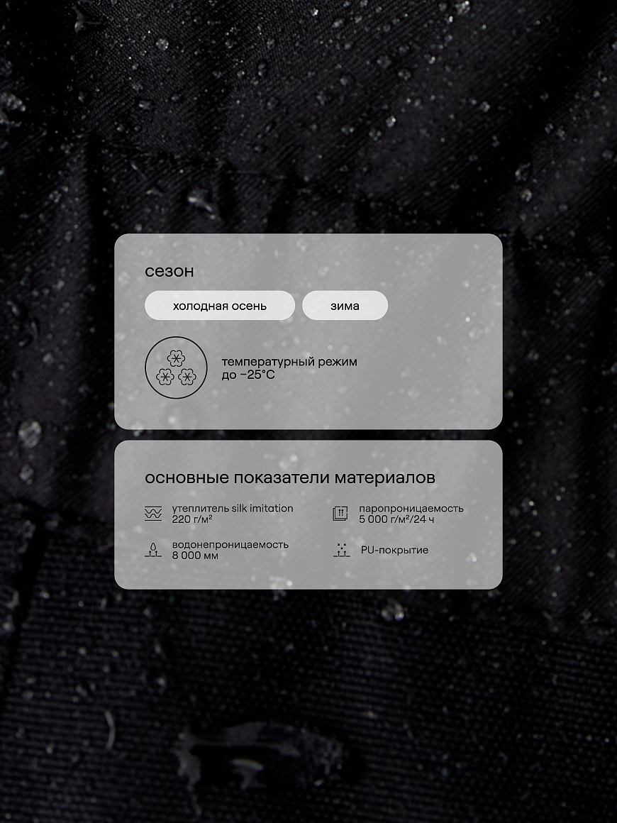 Комбинезон зимний Noreen Black Coal
