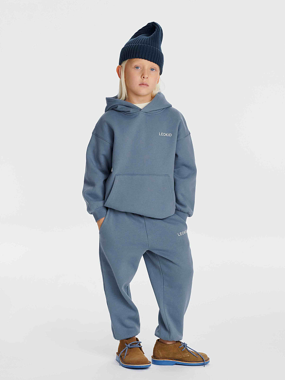 Толстовка с капюшоном Leokid Bernie Storm Blue