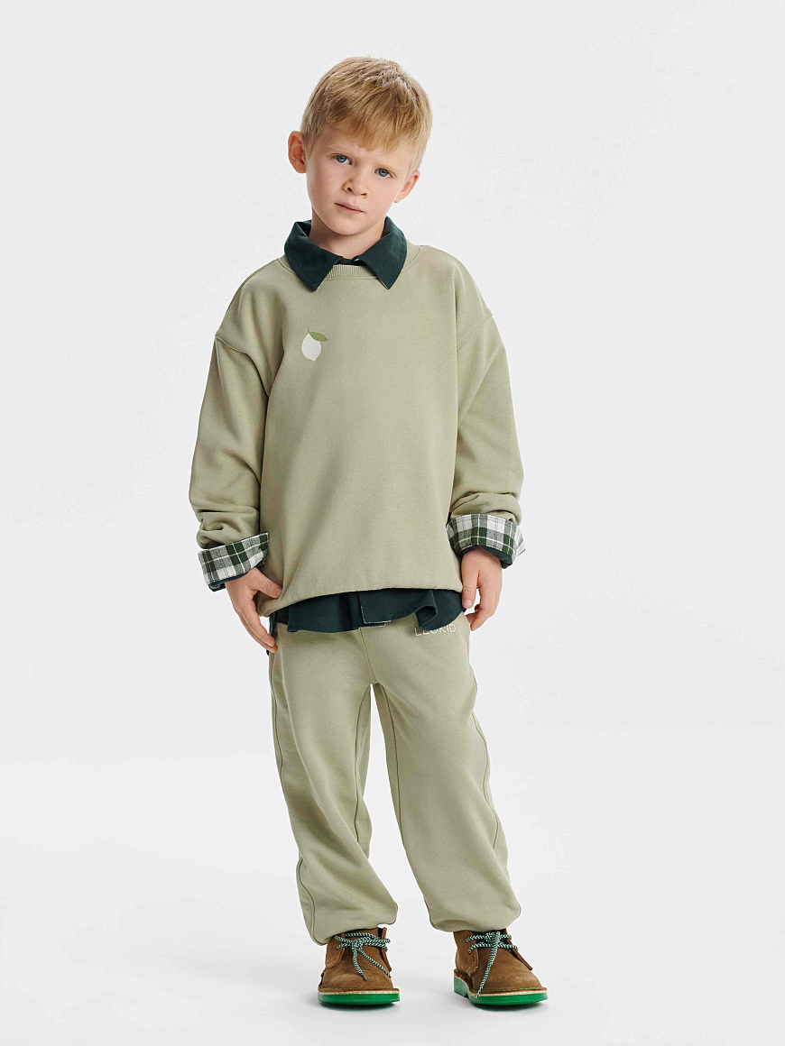 Брюки трикотажные Nicky Moss Gray