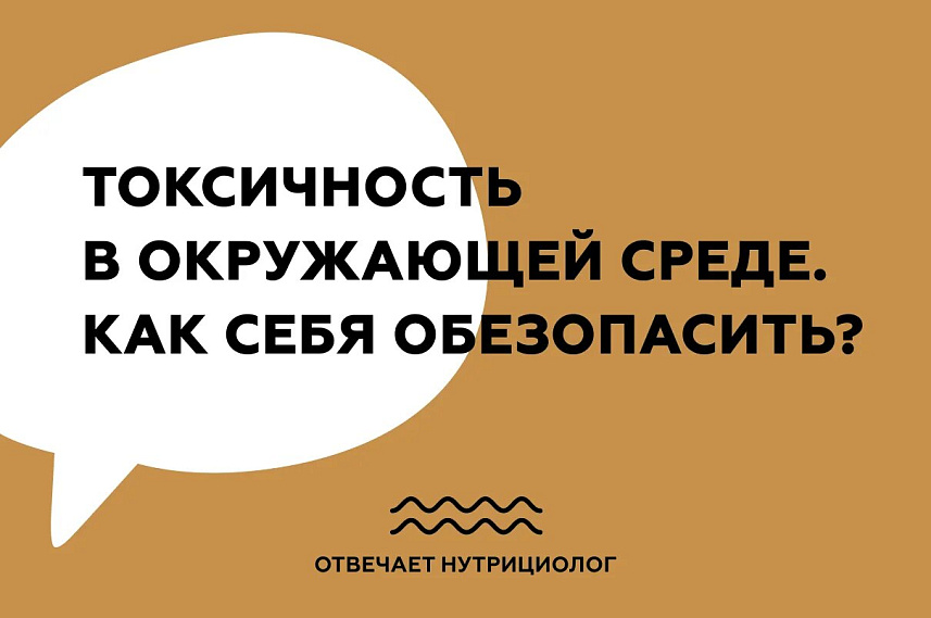 Токсичность в окружающей среде. Как себя обезопасить?